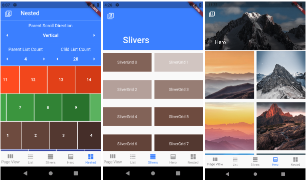Layout of the flutter example.